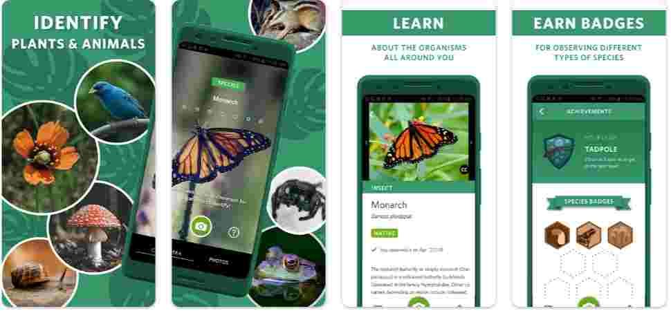 Identify Tree App 16 Best Android Apps to Identify Trees/Plants/Woods in 2025